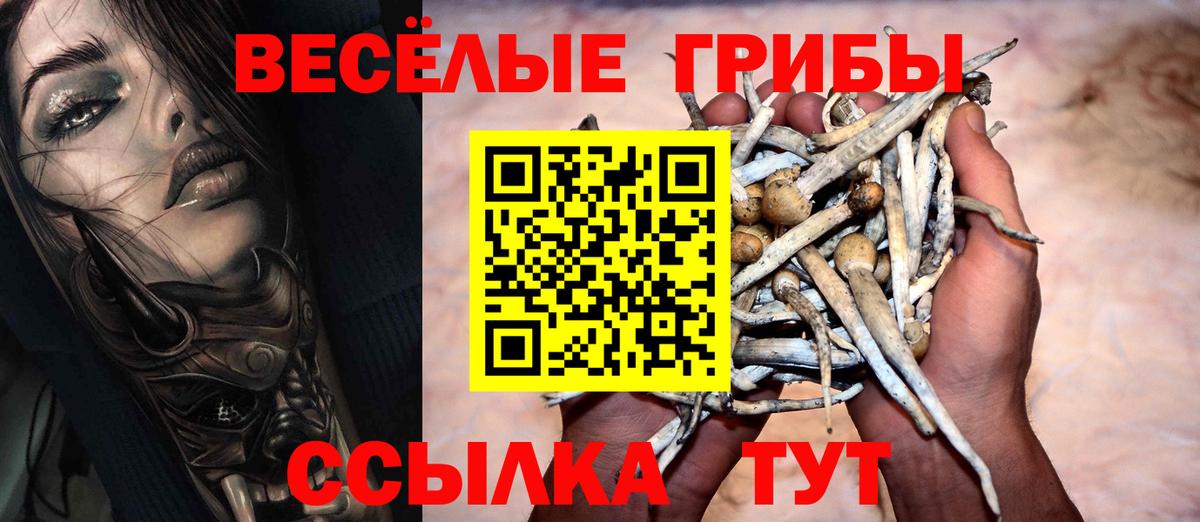 Галлюциногенные грибы Psilocybe  Галлюциногенные грибы мухоморы  Черногорск  закладки  Вход с VPN 